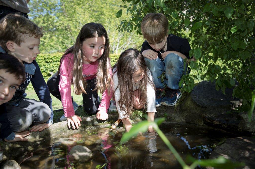 Kinder beobachten Lebewesen im Teich